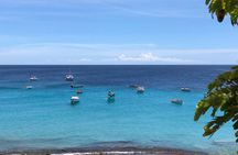 Exclusive 4 -Hour Private nature Tour: West Curacao's Best