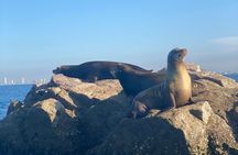 Private Experience All Inclusive Snorkeling in Mazatlan 