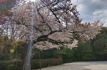 Private Day Tour of Tokyo Shrine for Oharai Yakubarai 