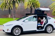 San Francisco Top Sights Private Tour with a Luxury Tesla 