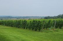 Private Wine Tours from Halifax 