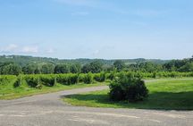Private Wine Tours from Halifax 
