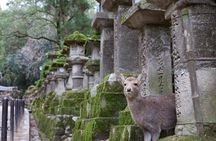 Nara: 1.5 Hour Private Kasuga Taisha Shrine Tour - World Heritage