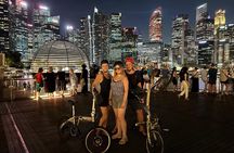 Singapore Light to Night Bike Tour