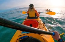 Kaikoura Kayaking Adventure Small Group Tour from Christchurch
