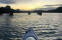 Bioluminescence Kayak Tour - Est. 1994