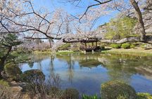 Private World Heritage Gyeongju Taxi Tour