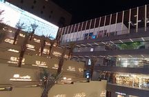 Guided Tour to Landmarks and Museums of Medina