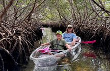  Key West Kayak Eco Tour | An Eco-Friendly Adventure Awaits!