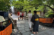 Kyoto: Half-Day Private Tour Gion Geisha Districts & Kiyomizu