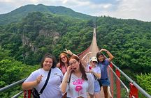 Small Group DMZ Tour from Seoul Korea with North Korean Defector