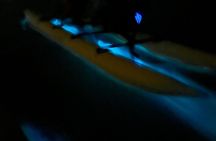Bioluminescent Bay Chiliboats Waterbike Tour in La Parguera