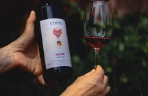 Castle Winery Tour & Tasting near Lake Maggiore
