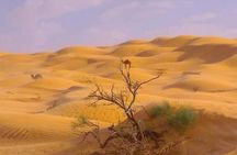 2 Days Private to Ksar Ghilan and Chenini night in Bivouac