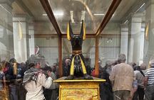 Day tour to the Great pyramid & the Egyptian Museum 