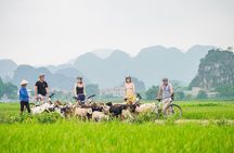 17-Day Vietnam Tour | Explore the Best Highlights of Vietnam