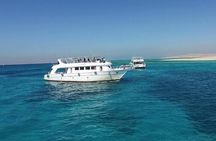  Dolphin House Snorkeling Adventure & Transfer W/Lunch–Marsa Alam
