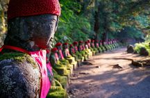 One day private tour to Nikko with English speaking driver