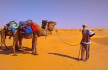 3 days in the desert on the back of a dromedary