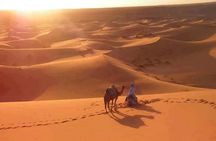 3 days in the desert on the back of a dromedary