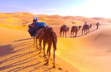 3 days in the desert on the back of a dromedary