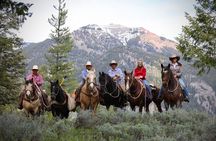 Teton View Horse Riding with Lunch
