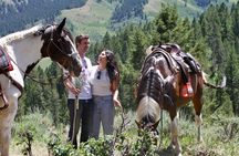 Moose Meadow Breakfast Ride