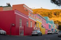  Cape Peninsula &Penguin Sightseeing in Private Car Full Day Tour