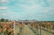 Buenos Aires Exp. Winery Gamboa Tasting and Lunch and Transfer