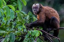 6 Days Manu Jungle Adventure