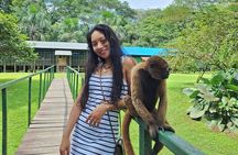 Iquitos: Visit to the authentic Monkey Island | Full Day