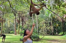 Iquitos: Visit to the authentic Monkey Island | Full Day