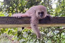 Iquitos: Visit to the authentic Monkey Island | Full Day