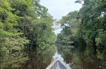 Iquitos: Secret to Black River | Full Day
