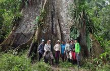 Iquitos: Secret to Black River | Full Day