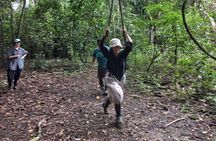 Iquitos: Wildlife Exploration along the Rio Negro | Full Day