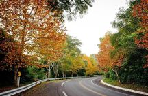 Private 2 days tour from Porto Alegre with English speaking guide