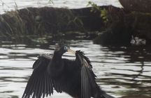 Canoe tour along the water trails of Tortuguero Park