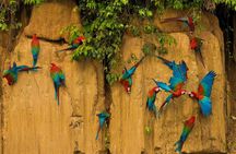3 Days Manu Park Tour with Accommodation