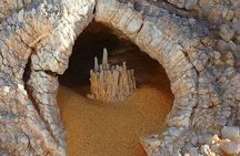 Discover the oases of Egypt in 2 Guided full-days