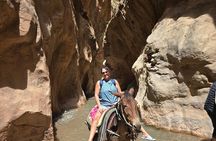 Dades Gorge & Roses valley Trekking with Mules or Donkeys 