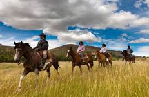 Horseback riding around Sacsayhuaman, Cusco