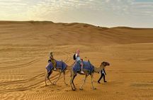 Abu Dhabi Night Safari 4WD with Camel Ride BBQ and Sand Boarding