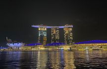 Private City Car Tour Singapore (4 Hours or 8 Hours)