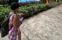 Best Choice Phu Quoc Land Tour: Discover South Island