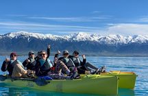 Private Seal Kayaking and Wildlife Tour in Kaikoura