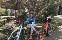 E-Bike Nature Tour in Shuri