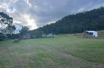 Full Day Gokula Farm and Cessnock with New Castle