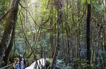 3 Day Private Tour in Blue Mountains and Kiama in Sydney City
