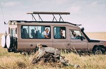 2 Days Private Budget Safari to Tarangire NP & Ngorongoro Crater 